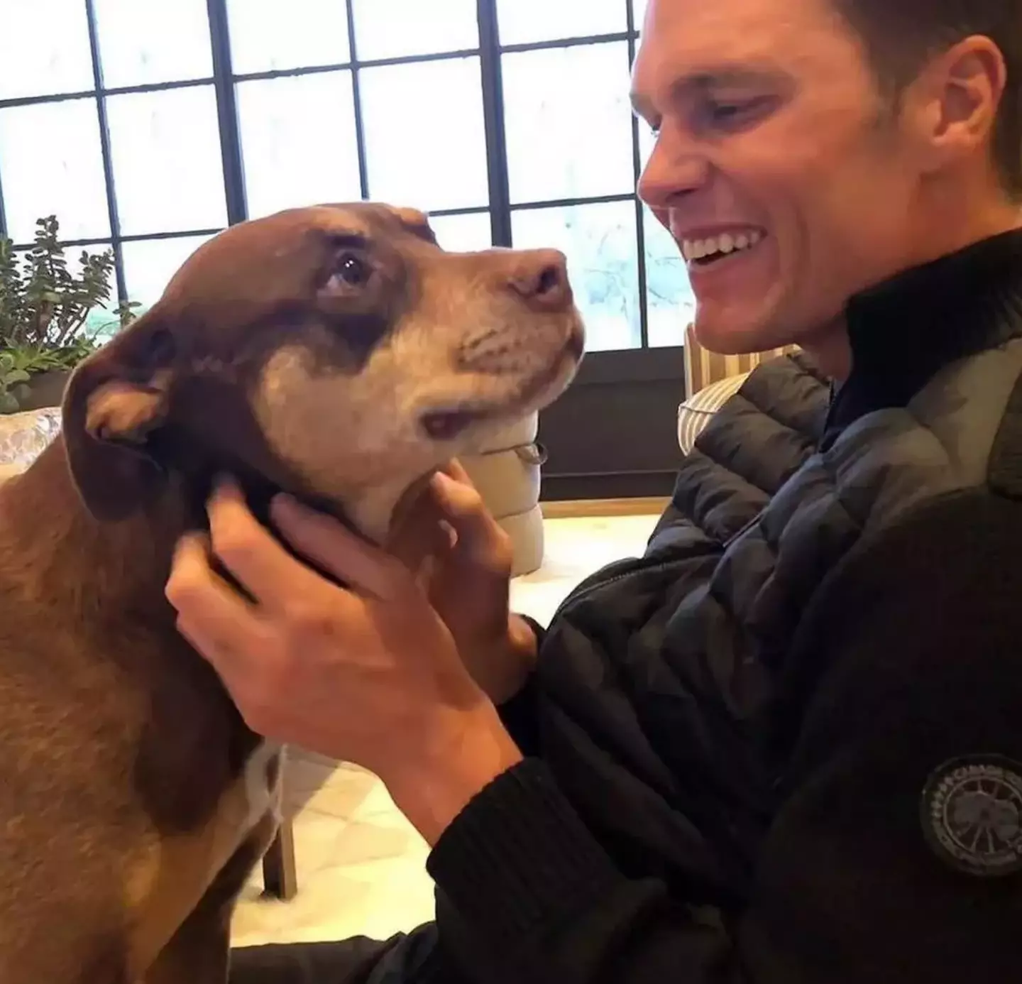 Tom Brady’s Emotional Reunion: A Cloned Dog Brings Back Memories of His Late Pet