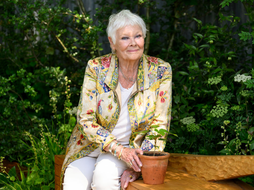 Judi Dench Faces Vision Challenges Despite Macular Degeneration