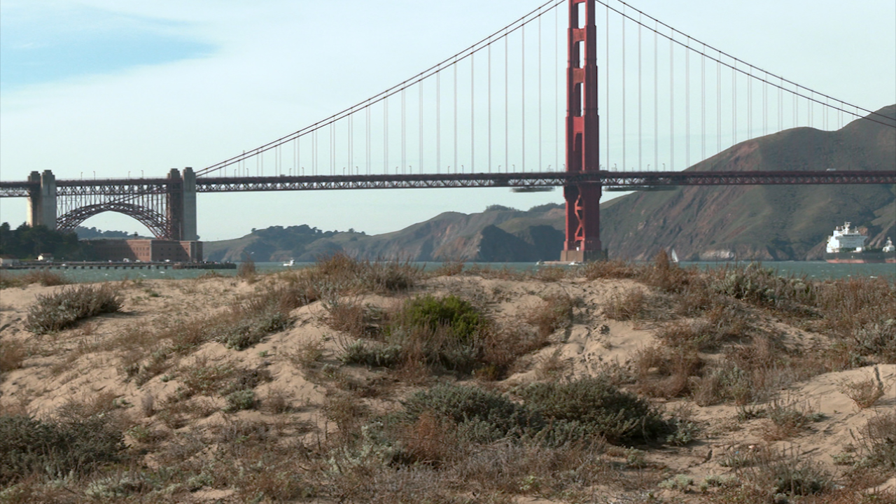 Trump Unveils Major Reorganization of Presidio Trust Board Amid Federal Cuts