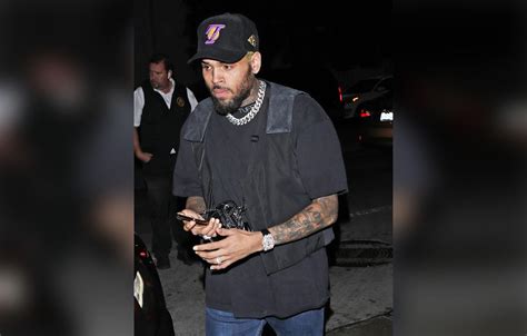 California Jury Orders Chris Brown to Pay $13.8 Million Following 2020 Guard Dog Attack on Housekeeper
